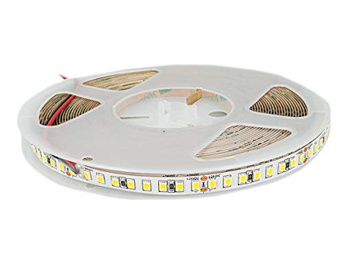 LEDLUX Spule 24V LED 10 Meter IP20 12W / M 1600 smd 2835 2000 LM/M Abstand 8mm Verfügbar 4 Farben (4000k) von LEDLUX