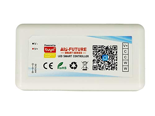 LEDLUX CL3802 Mini Steuergerät Tuya Smart Controller Wi-Fi LED Dimmer CCT CW 2 Kanal kompatibel mit Alexa Google Home von LEDLUX