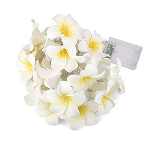 LEDMOMO Lichterkette mit 20 LEDs, Frangipani-Blume, batteriebetrieben, warmweißes Licht von LEDMOMO