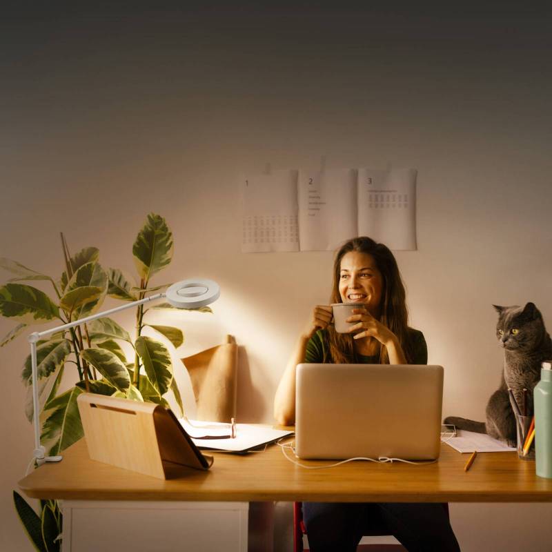 LEDVANCE SUN@Home Panan Desk Disc, Klemme, weiß von LEDVANCE SMART+