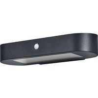 ENDURA Style Solar Oval Wall Sensor 6W 3000K von LEDVANCE