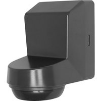4058075244832 Wand Bewegungsmelder 360 ° Schwarz IP55 - Ledvance von LEDVANCE