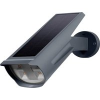 LEDVANCE ENDURA GARDEN SPOT 4058075564169 Solar-Außenwandleuchte 0.5W Dunkelgrau von LEDVANCE