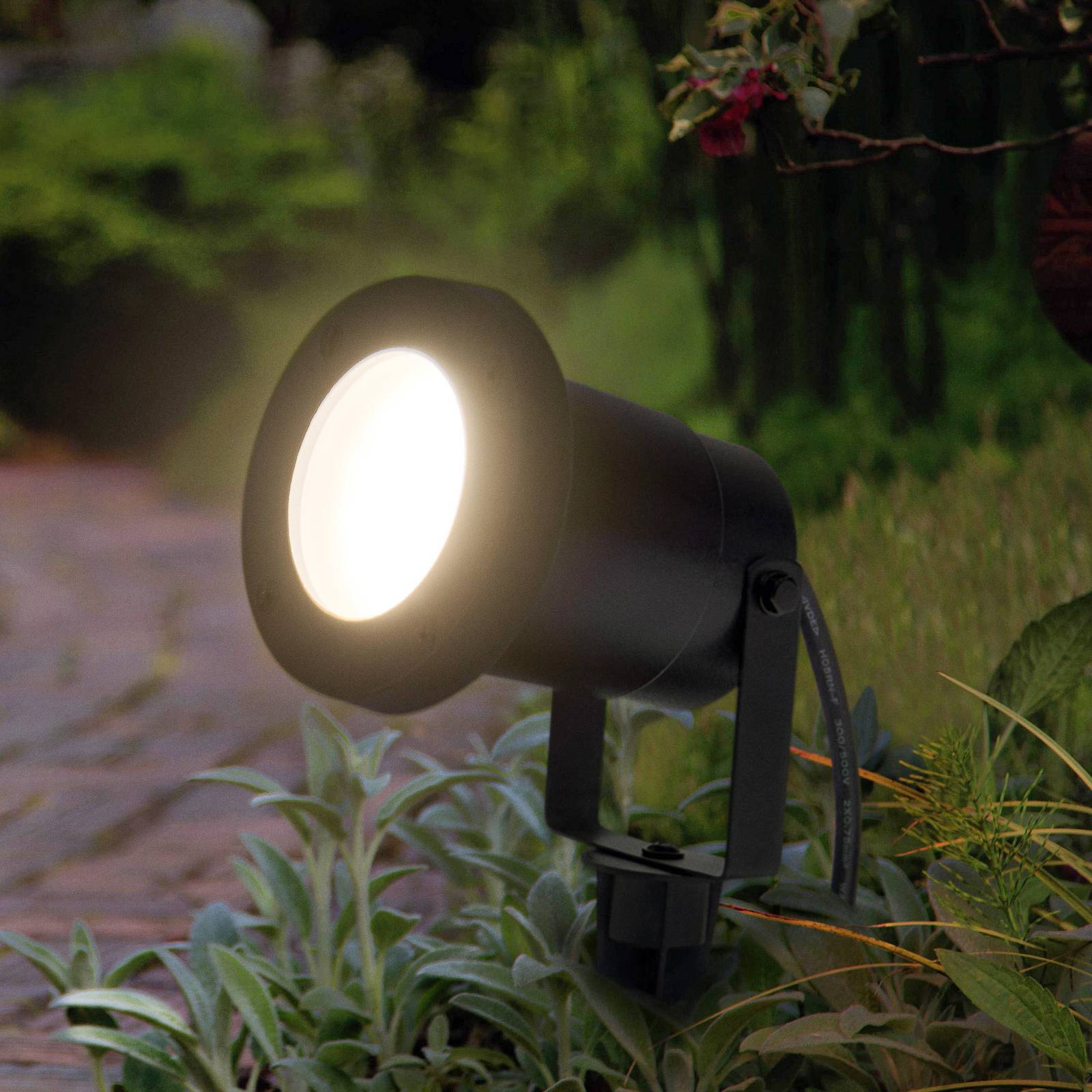 LEDVANCE LED-Erdspießleuchte Endura Hybrid Naut Spike 2W LEDVANCE LED-Erdspießleuchte Endura Hybrid Naut Spike 2W von LEDVANCE