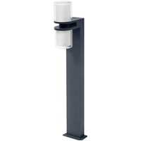 LEDVANCE 4058075564343 SMART+ UP DOWN FLARE MULTICOLOR LED-Gartenleuchte 14W Dunkelgrau von LEDVANCE