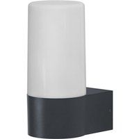 Ledvance Smart+ LED Wandleuchte Pipe in Dunkelgrau 10W 380lm RGBW - grey von LEDVANCE