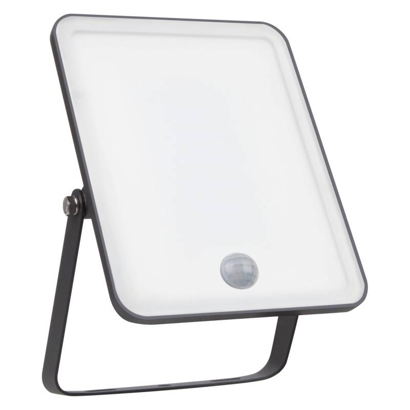 Ledvance LED Außenleuchte Flood Essential 30 Watt Sensor schwarz von LEDVANCE