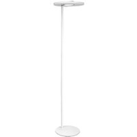 Ledvance LED-Standleuchte mit Human Centric Lighting Technologie SUNATHOME PANAN FLOOR TW – 4058075575899 von LEDVANCE