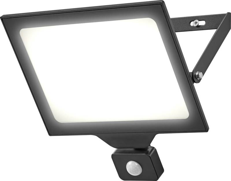 Ledvance LED Außen-Strahler FLOOD Essentials mit Sensor 100 W von LEDVANCE