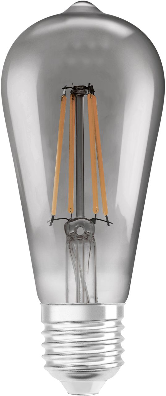 Ledvance Smart+ LED Leuchtmittel Edison ST64 E27 6 W dimmbar rauch Ledvance Smart+ LED Leuchtmittel Edison ST64 E27 6 W dimmbar rauch von LEDVANCE