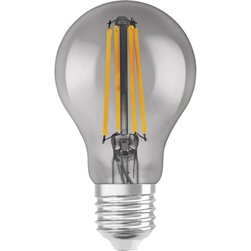 Ledvance Smart+ Leuchtmittel Wifi Filament Classic E27/6 W Grau von LEDVANCE