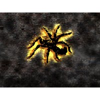 3D Led Wandbild Holz Vogelspinne No Aufkleber Buch Zucht Bild Schmuck Spider Leuchtschild Terrarium Spinnentiere Spinnengewebe Spinnen 3D Led Wandbild Holz Vogelspinne No Aufkleber Buch Zucht Bild Schmuck Spider Leuchtschild Terrarium Spinnentiere Spinnengewebe Spinnen von LEDWandbilder