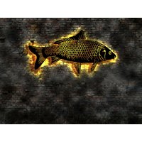 Led Wandbild Karpfen Fisch Reuse Futter Netz Angler Buch Teich Würmer Kescher Werbung No Neon Sign Deko Poster Bild Plakat Led Wandbild Karpfen Fisch Reuse Futter Netz Angler Buch Teich Würmer Kescher Werbung No Neon Sign Deko Poster Bild Plakat von LEDWandbilder