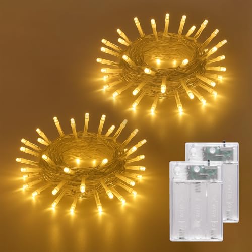 LEECOCO LED Lichterkette Batteriebetrieben, Warmweiß,Weihnachtsbeleuchtung, Hochzeitsdeko, Party, Terrasse, Baumdekoration, Halloween, Schlafzimmer (2 Stück 5m 50LEDs Warmweiß (Timer)) von LEECOCO