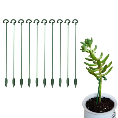 LEEQBCR 10 Stück Pflanzenstützen, Gartenstützen, Pflanzen vor dem Kippen schützen, Pflanzenstützen für Blumen, Pfingstrosen von LEEQBCR