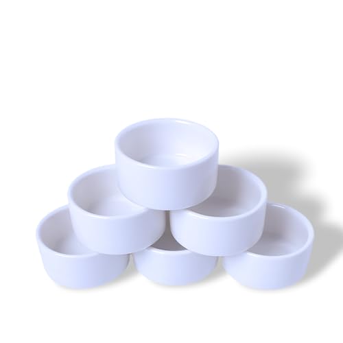 Mikro-Keramik-Wassernapf für Spinnen, Tarantel, Skorpion, Tausendfüßler, Einsiedlerkrebse, kleine Reptilien, 6 Stück Mikro-Keramik-Wassernapf für Spinnen, Tarantel, Skorpion, Tausendfüßler, Einsiedlerkrebse, kleine Reptilien, 6 Stück von LEETOYI