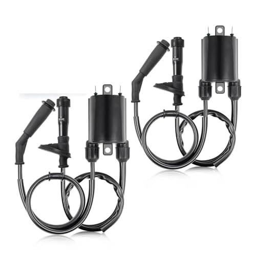 LEFEDA Zündspule 2 Satz Für Shadow Zündspule Und Zündkerzenstecker VLX 600 VT600 VT600C VT600CD Für Deluxe 1988–2007 Zündeinheit von LEFEDA