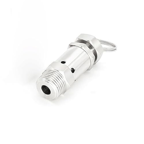 LEFTART 304 Edelstahl Sanitär Feder Druck Relief Sicherheitsventil, 1/2" BSP 1 2 3 4 5 6 Bar 0,5-10 Bar Ventile, for Luftkompressor Herd(3 Bar Fixed) von LEFTART