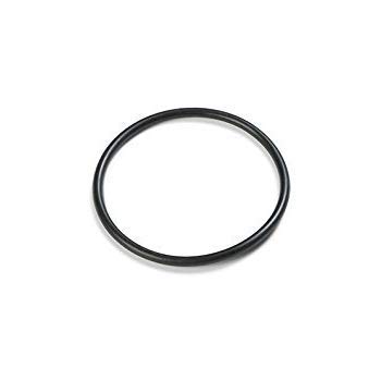 Legnagoferr - 2 Stück Intex 10262 Dichtung für Ventil Plunger 10747 Intex Store von LEGNAGOFERR S.R.L