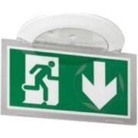 062524 – Evacuation Baes – Eco1 Einbau-Kickspot – 45 lm LEDs – 1 Std. – IP40-Ik04 Kunststoff - Legrand von LEGRAND