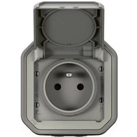 Legrand Plexo 069731L Steckdose 2P+T wasserdicht 16A - Komplett - Aufputz - Grau von LEGRAND