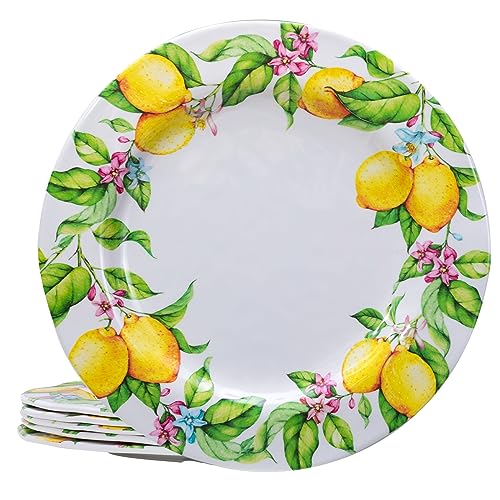 LEHAHA Melamin-Essteller-Set, 27,9 cm, BPA-frei, leicht und bruchfest, ideal für Partys, Wohnmobile, Picknicks und Campinganhänger, spülmaschinenfest, 6 Stück von LEHAHA