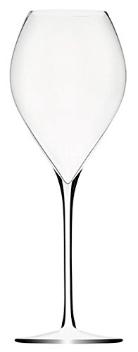LEHMANN GLASS Premium 28,5cl Champagnerglas 6er Karton maschinengeblasen von LEHMANN GLASS