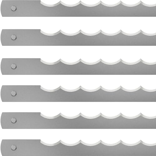 LEHRMANN Gattermesser für Brotschneidemaschine (50 St.) 250 x 13 x 0,5 mm ohne Beschichtung von LEHRMANN GMBH