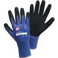 L+d Nitril Aqua 1169-XL Nylon Arbeitshandschuh Größe (Handschuhe): 10, xl en 388:2016 cat ii 1 St. von LEIPOLD + DOHLE GMBH