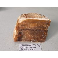 97.3G Versteinertes Holz - Roh Fossilien, Vitrine/xilopalo von LEISHandcrafts