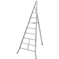 Aluminium Obstleiter 10 Sprossen - Max. Arbeitshöhe 4.33m - AG350 von FACAL
