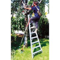 Obstbaumleiter ohne Erdspitze, 10-stufig, Max. Arbeitshöhe 3.79m - SCA1969S/10-SCCSTO Obstbaumleiter ohne Erdspitze, 10-stufig, Max. Arbeitshöhe 3.79m - SCA1969S/10-SCCSTO von LEITER EXPERTEN