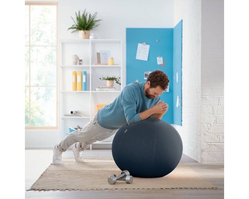 LEITZ Bürostuhl Sitzball Ergo Cosy 65 cm grau. von LEITZ