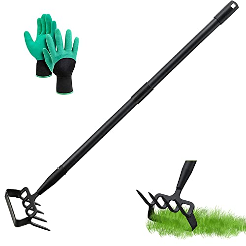 LEJIEYIN Gartenhacke 170cm Steigbügel Hacke und 4-Zahn Spike Harke 2 in 1 Edelstahl Handheld Hula Hoes Garten Werkzeug Scuffle Hacke mit einstellbarer Aktion Hacke für Unkraut / Lockerung Boden von LEJIEYIN