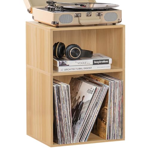 LELELINKY Plattenständer Mit Aufbewahrung, 2-Stöckiger Schallplattenständer für Bis Zu 80 Alben, Vintage Vinyl Regal Beistelltisch, Plattenregal für Musikzimmer und Wohnzimmer, Schallplattenregal LELELINKY Plattenständer Mit Aufbewahrung, 2-Stöckiger Schallplattenständer für Bis Zu 80 Alben, Vintage Vinyl Regal Beistelltisch, Plattenregal für Musikzimmer und Wohnzimmer, Schallplattenregal von LELELINKY