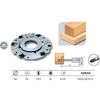 Leman - 950.9.160.51.51] Porte-outils à rainer extensible 160x50x5/9,5 z8+V4 950.9.160.51.51 von LEMAN