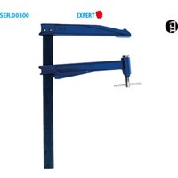 Schraubzwinge mit Pumpe – breite Ausladung Expert Packung mit 2 Ausladungen 300 Abschnitt 40 x 10 Spannkraft 800 Schraubzwinge mit Pumpe – breite Ausladung Expert Packung mit 2 Ausladungen 300 Abschnitt 40 x 10 Spannkraft 800 von LEMAN