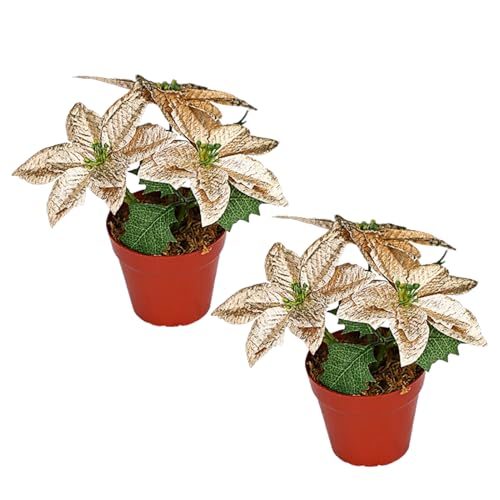LEMCC 2 Stück Künstliche Weihnachtsstern-Blumen Im Topf, Rote Pflanzen in Töpfen, Gefälschte Bonsai-Arrangements für Zuhause LEMCC 2 Stück Künstliche Weihnachtsstern-Blumen Im Topf, Rote Pflanzen in Töpfen, Gefälschte Bonsai-Arrangements für Zuhause von LEMCC