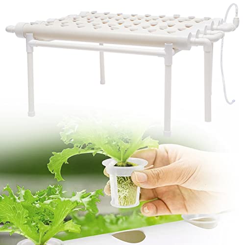 LENDISIY Hydroponics Growing System, Hydroponic Grow Kit 54 Pflanzenplätzen, Erdlose Pflanzenanbau-Systeme mit Wasserpumpe, für Hydroponische Gemüse, Salat, Blumen, Früchte LENDISIY Hydroponics Growing System, Hydroponic Grow Kit 54 Pflanzenplätzen, Erdlose Pflanzenanbau-Systeme mit Wasserpumpe, für Hydroponische Gemüse, Salat, Blumen, Früchte von LENDISIY