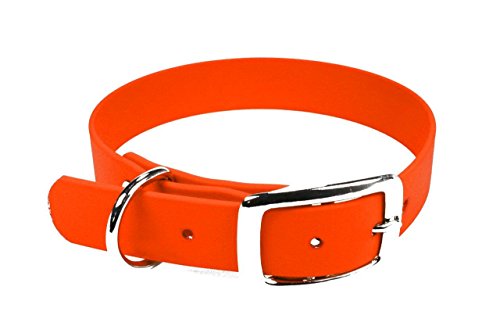 LENNIE BioThane Halsband, Dornschnalle, 16 mm breit, Größe 26-32 cm, Neon-Orange, Aufdruck möglich von LENNIE