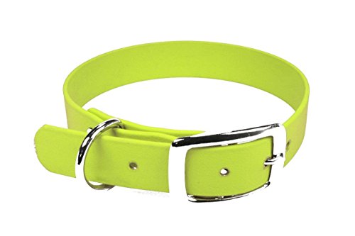 LENNIE BioThane Halsband, Dornschnalle, 19 mm breit, Größe 30-36 cm, Neon-Gelb, Aufdruck möglich von LENNIE