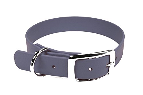 LENNIE BioThane Halsband, Dornschnalle, 25 mm breit, Größe 38-46 cm, Grau, Aufdruck möglich von LENNIE