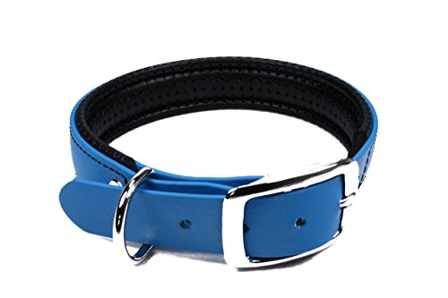 LENNIE BioThane Halsband, gepolstert, Dornschnalle, 25 mm breit, Größe 32-40 cm, Azurblau, Aufdruck möglich von LENNIE