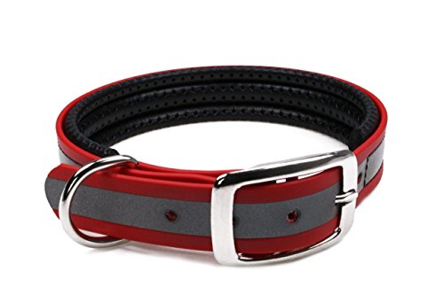 LENNIE BioThane Halsband, gepolstert, Dornschnalle, 25 mm breit, Größe 32-40 cm, Rot-Reflex von LENNIE