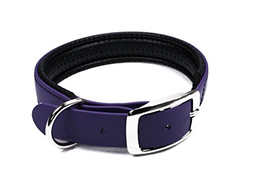 LENNIE BioThane Halsband, gepolstert, Dornschnalle, 25 mm breit, Größe 38-46 cm, Lila/Violett, Aufdruck möglich von LENNIE