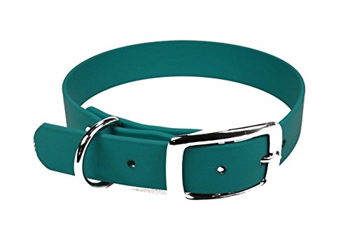 LENNIE BioThane Halsband, Dornschnalle, 16 mm breit, Größe 26-32 cm, Petrol/Teal, Aufdruck möglich von LENNIE