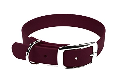 LENNIE BioThane Halsband, Dornschnalle, 19 mm breit, Größe 26-32 cm, Weinrot, Aufdruck möglich von LENNIE