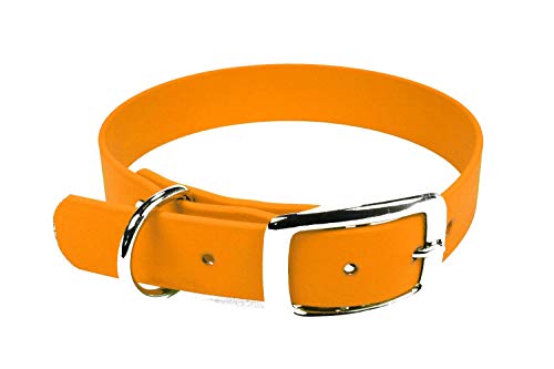 LENNIE BioThane Halsband, Dornschnalle, 25 mm breit, Größe 38-46 cm, Pastell-Orange, Aufdruck möglich von LENNIE