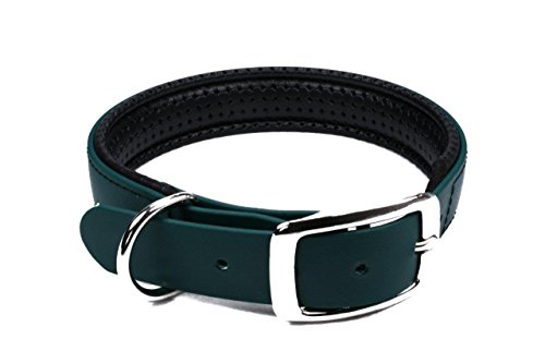 LENNIE BioThane Halsband, gepolstert, Dornschnalle, 19 mm breit, Größe 22-28 cm, Dunkelgrün, Aufdruck möglich von LENNIE