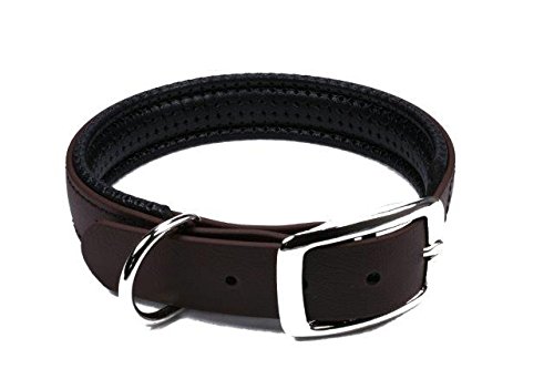 LENNIE BioThane Halsband, gepolstert, Dornschnalle, 19 mm breit, Größe 26-32 cm, Dunkelbraun, Aufdruck möglich von LENNIE